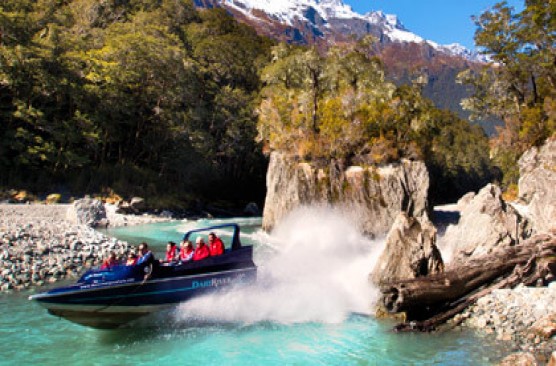 Dart River Wilderness Safari AM Tour - Queenstown Return