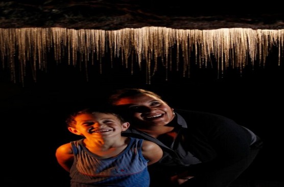 Waitomo Glowworm Caves Day Trip (Auckland to Auckland)