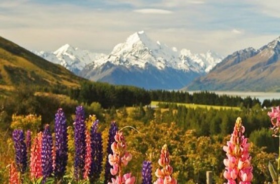 Mount Cook Day Tour Christchurch to Christchurch 